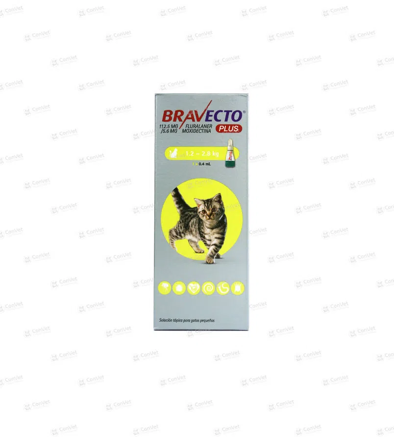 0490116020-BRAVECTO-PLUS-FOR-CAT112.5-MG-1.2-2.8-KG-x-1-UND.webp