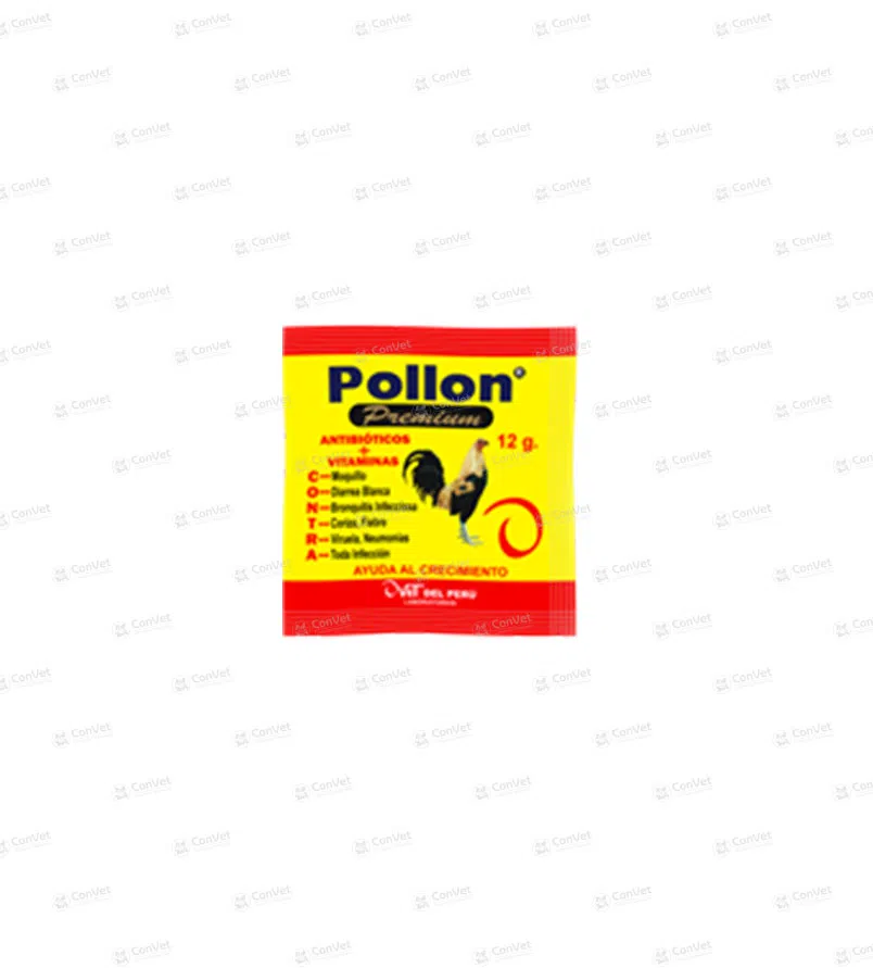 0530101005-POLLON-x-12-GR.webp