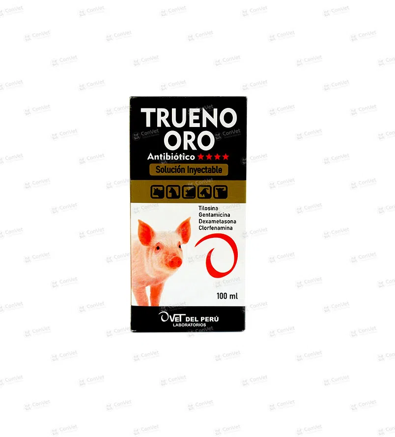 0530101012-TRUENO-ORO-x-100-ML.webp
