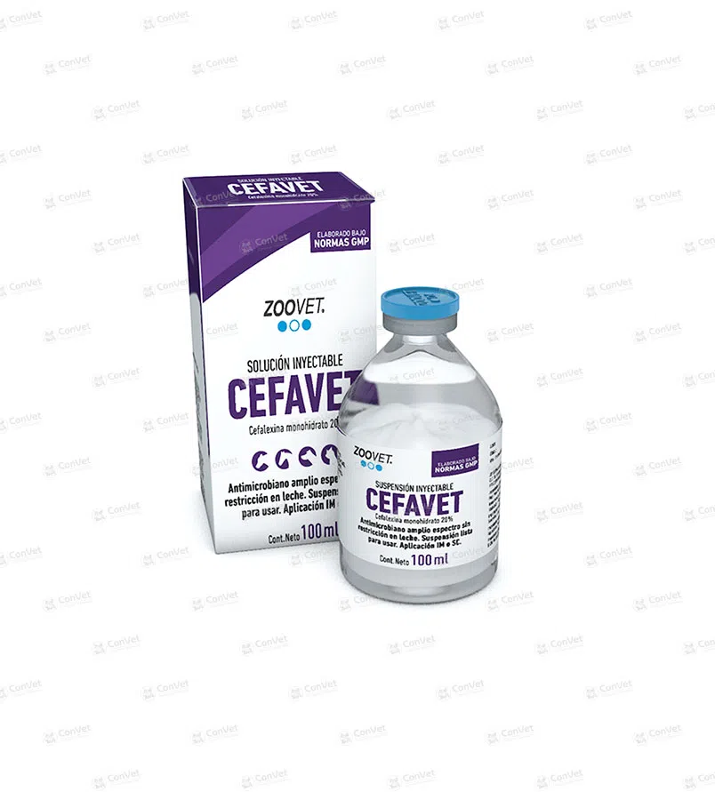 0610101001-CEFAVET-x-100-ML.webp