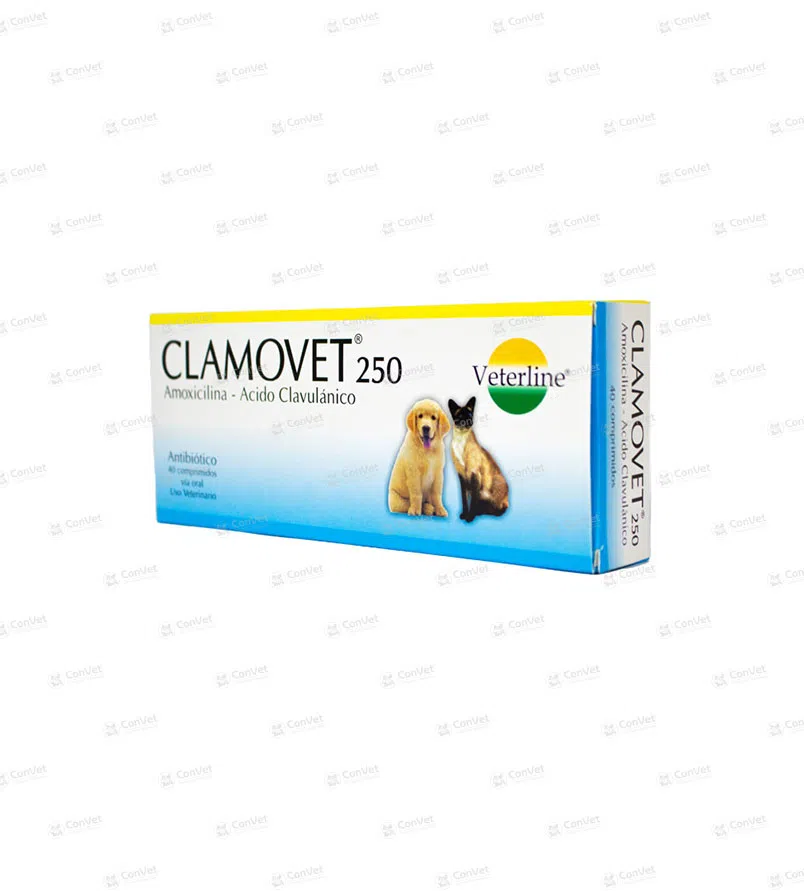 0690101012-CLAMOVET-250-MG-x-CJ-x-40-UND.webp
