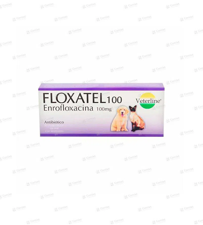 0690101025-FLOXATEL-100-MG-x-CJ-x-40-UND.webp