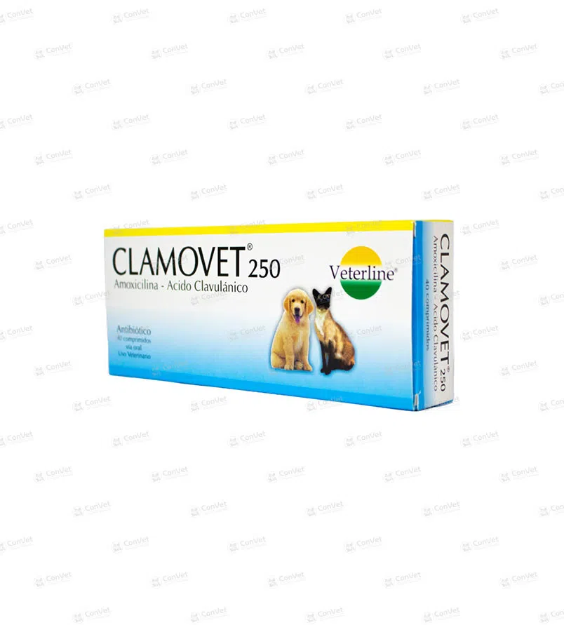 0690101055-CLAMOVET-250-MG-x-CJ-x-10-UND.webp