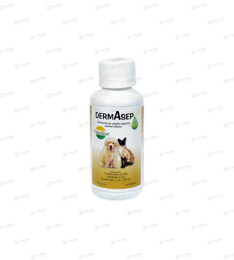 0690122002-DERMASEP-x-120-ML.webp