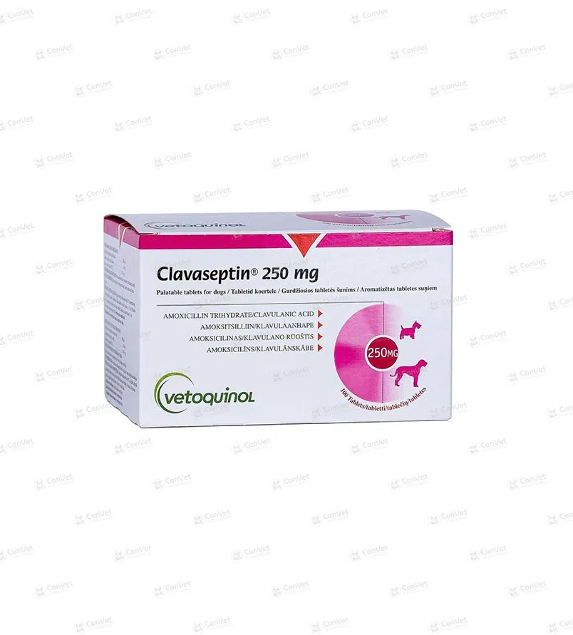0710101022-CLAVASEPTIN-250-MG-x-BLISTER-x-10-UND.webp