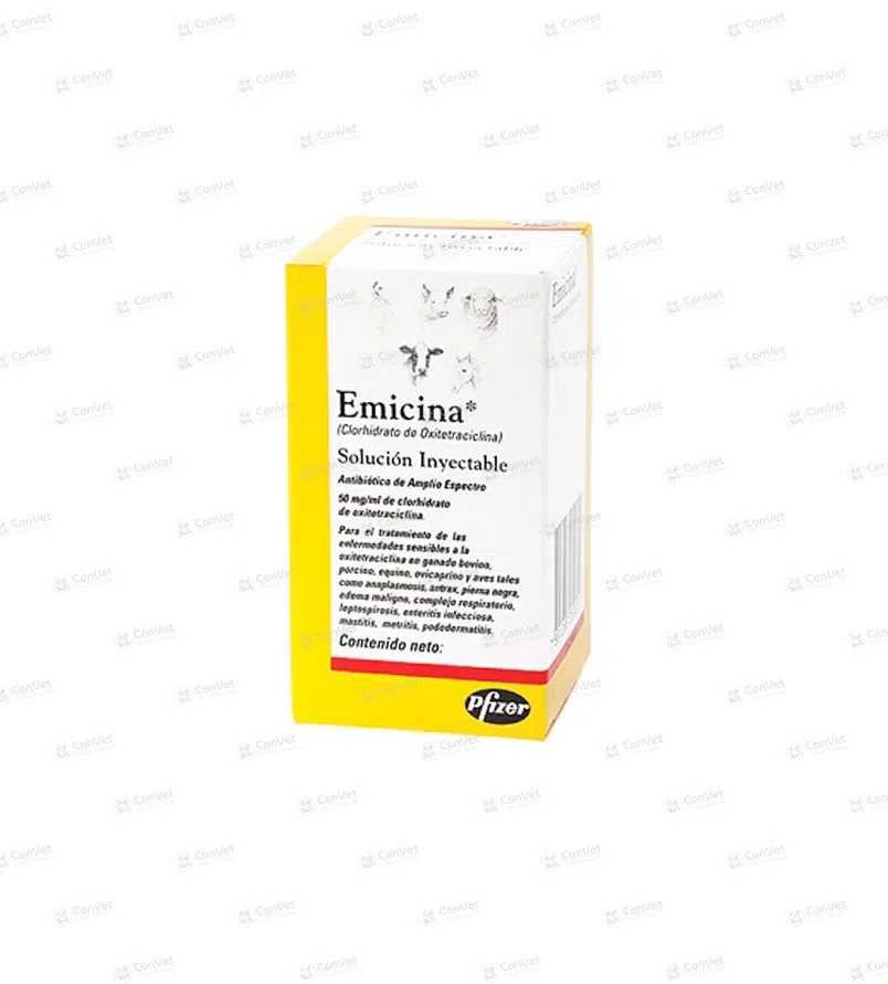 0740101007-EMICINA-x-50-ML.webp