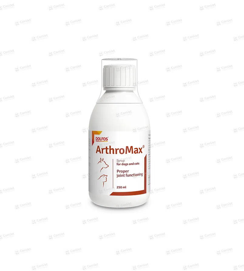 0800137013-ARTHROMAX-x-250-ML.webp