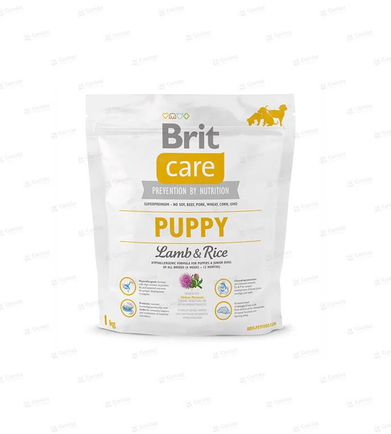 0820404002-BRIT-CARE-PUPPY-LR-x-1-KG.webp