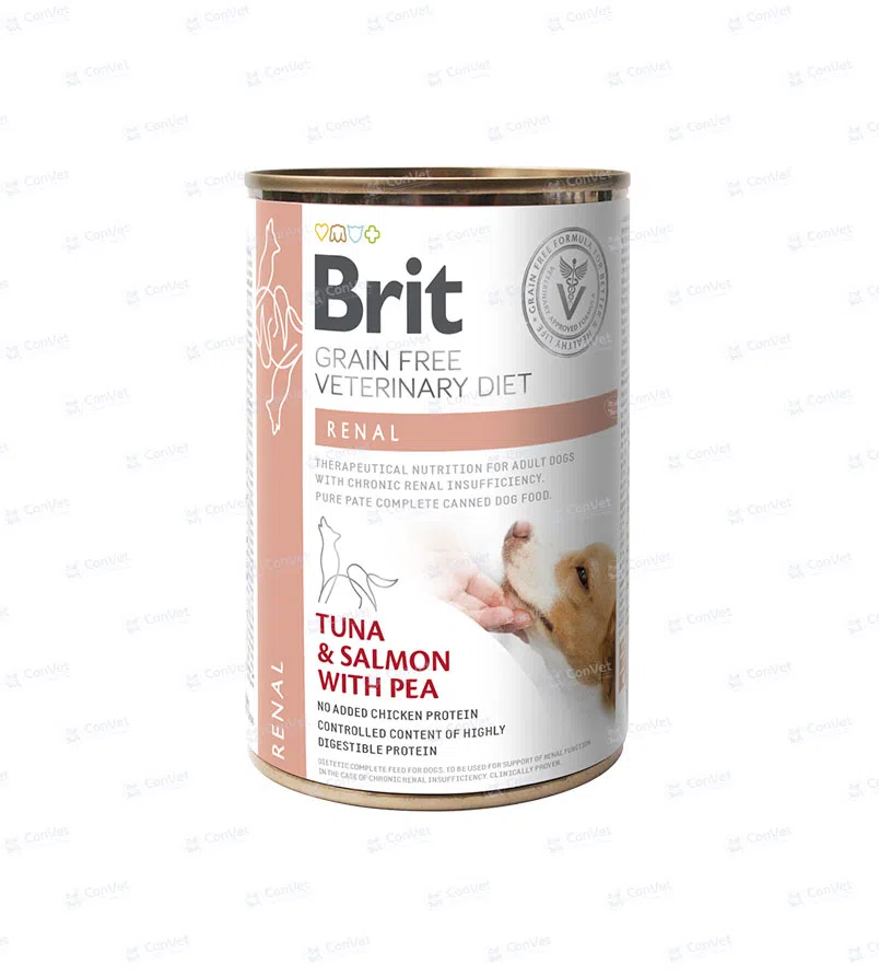 0820404109-Brit-Gf-Vet-Diets-Dog-Can-Renal-X-400-Gr.webp