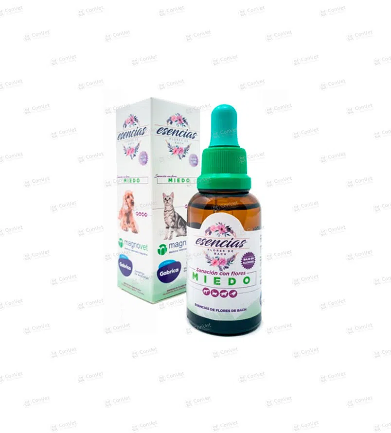 0990199003-ESCENCIA-FLORES-DE-BACH-MIEDO-x-30-ML.webp