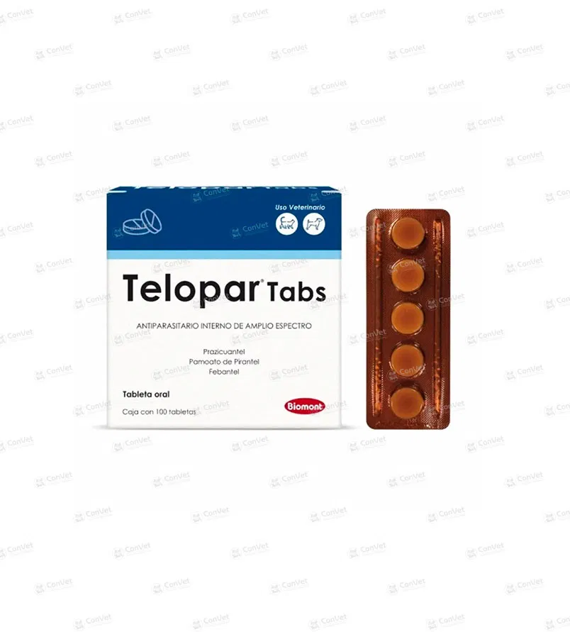 0110116068-TELOPAR-x-CJ-x-100-UND.webp