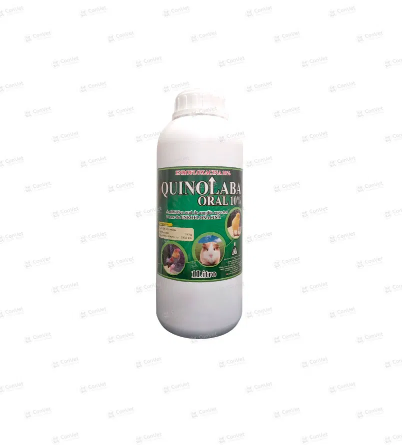 0370101018-QUINOLABA-ORAL-10-x-1-LT.webp