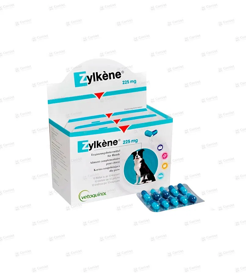 0710134004-ZYLKENE-225-MG-x-10-UND.webp