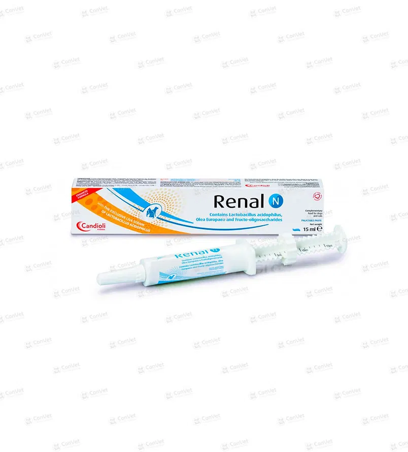 0710137026-RENAL-N-PASTE-x-15-ML.webp