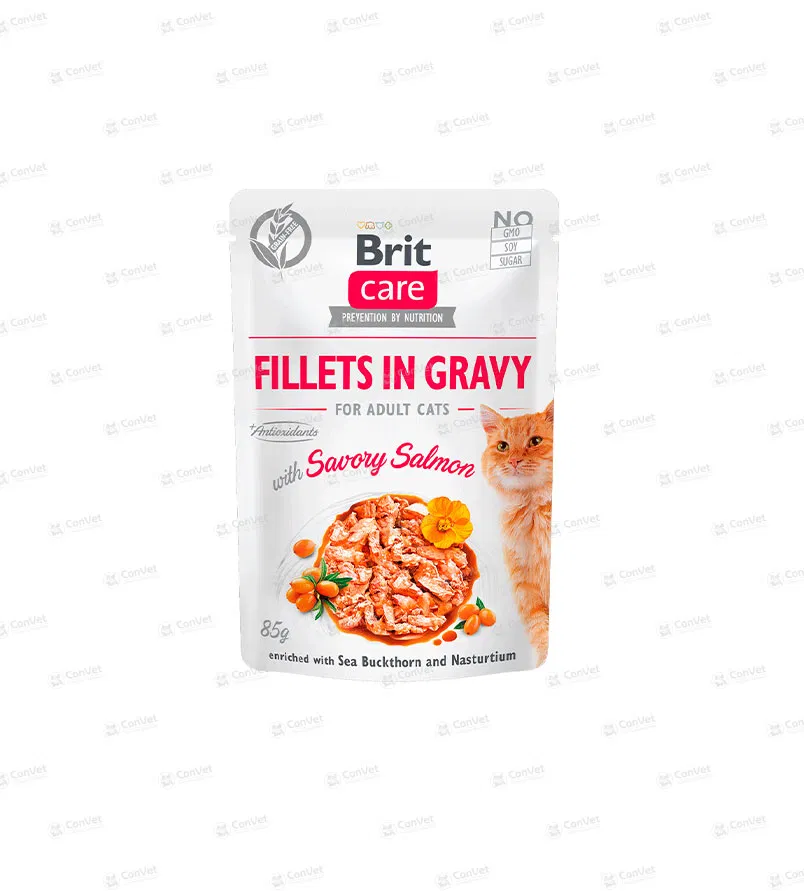 0820404213-BRIT-CARE-CAT-FILLETS-IN-GRAVY-WITH-SAVORY-SALMON-x-85-GR.webp
