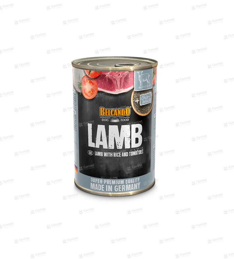 0970404021-BELCANDO-CORDERO-ARROZ-Y-TOMATES-x-400-GR.webp
