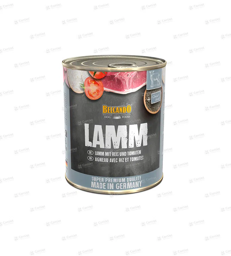 0970404022-BELCANDO-CORDERO-ARROZ-Y-TOMATES-x-800-GR.webp