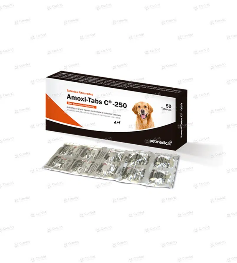 AMOXI-TAB C 250 MG x UND