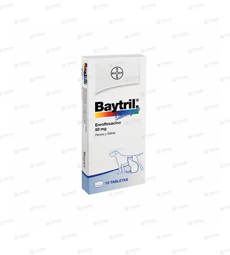 0080101009-BAYTRIL-50-MG-x-UND.webp