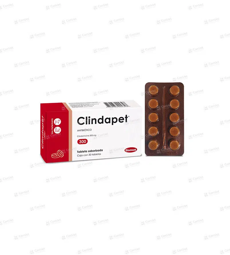 0110101047-CLINDAPET-300-x-30-UND.webp