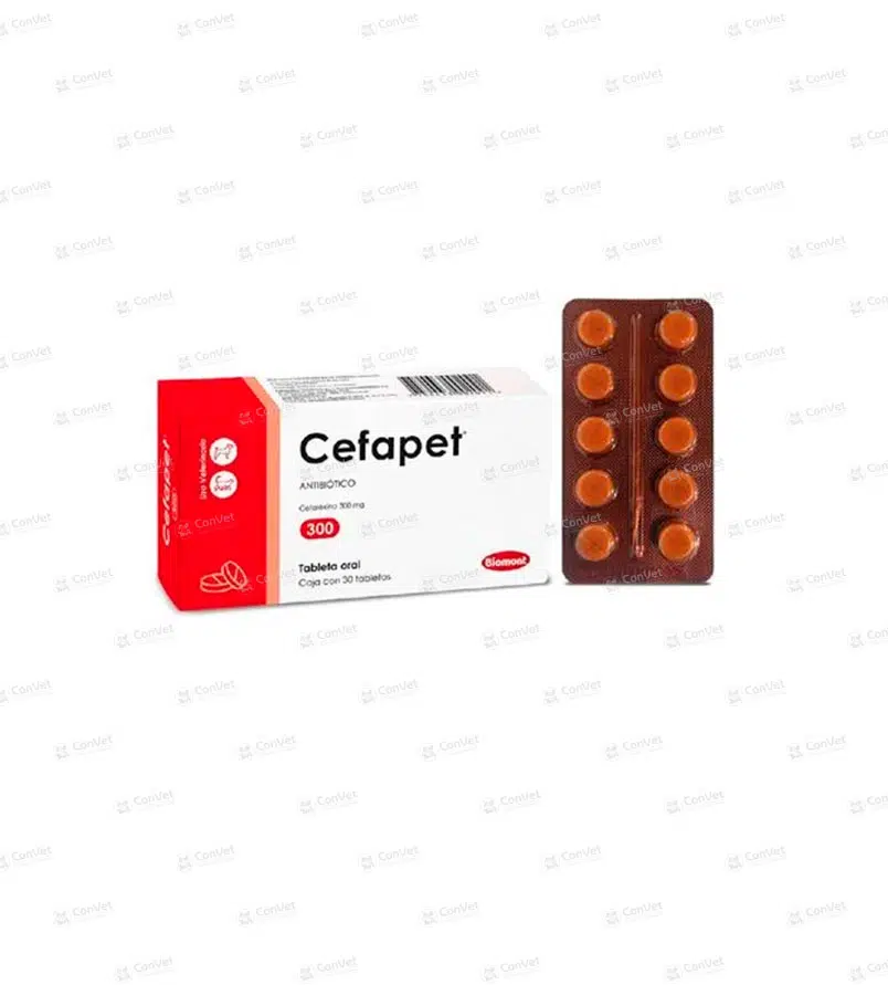 0110101049-CEFAPET-300-x-30-UND.webp