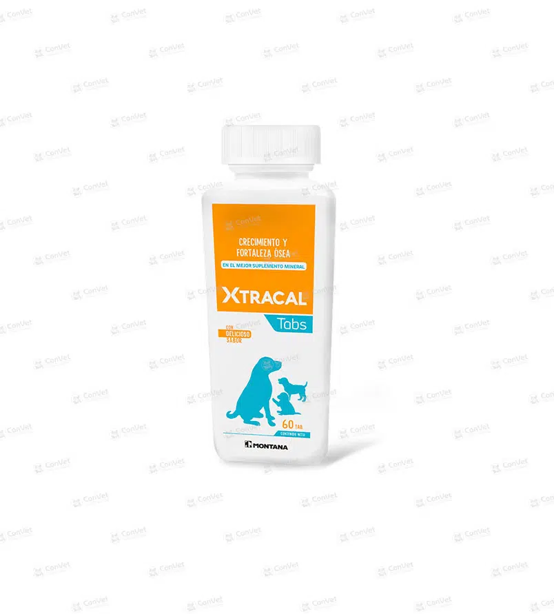 0480137035-XTRACAL-TABS-x-60-UND.webp