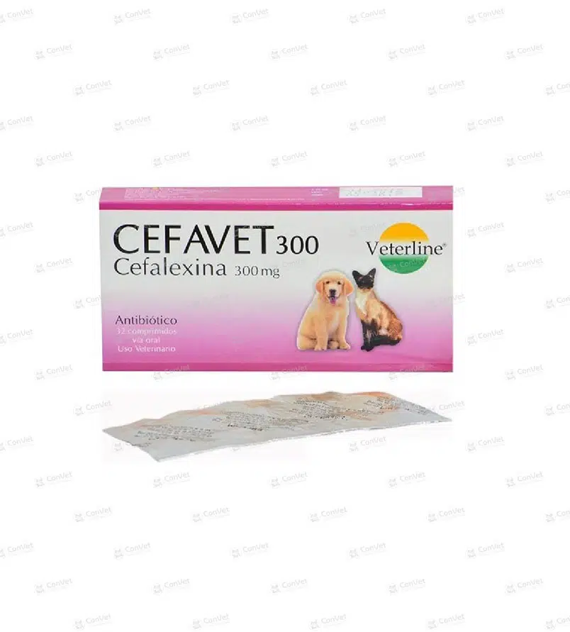 0690101006-CEFAVET-300-MG-x-UND.webp