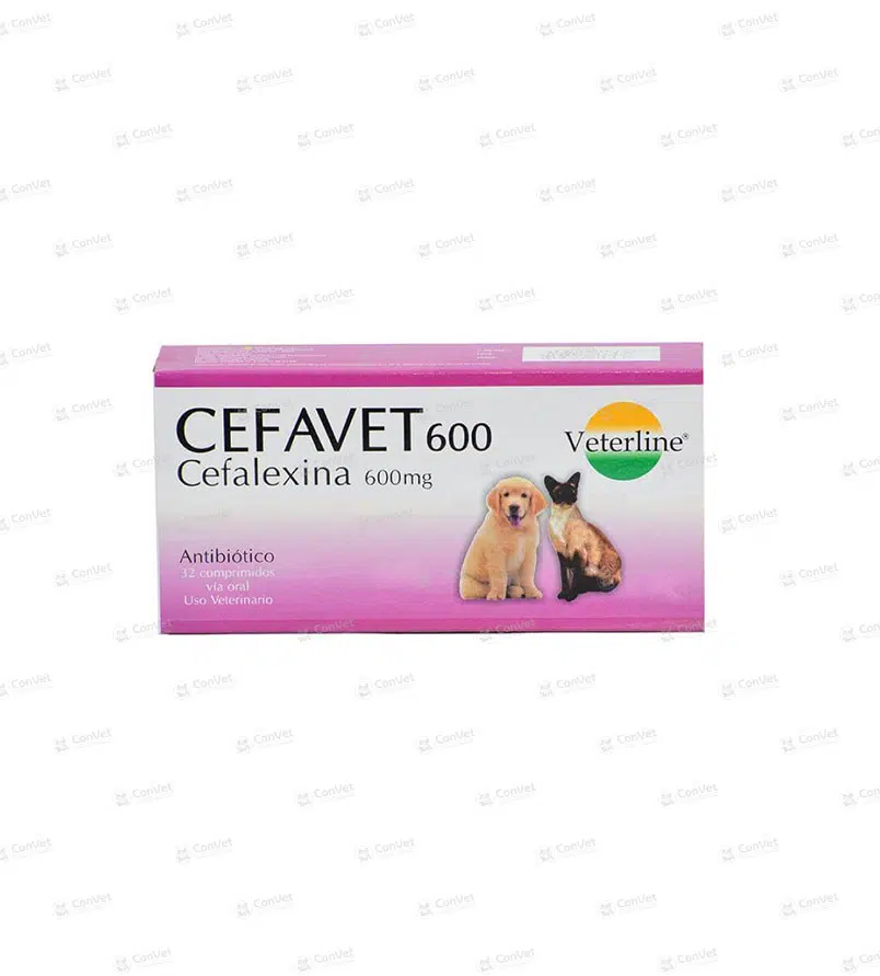 0690101008-CEFAVET-600-MG-x-UND.webp