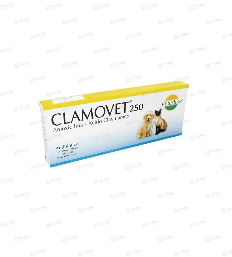 0690101013-CLAMOVET-250-MG-x-UND.webp