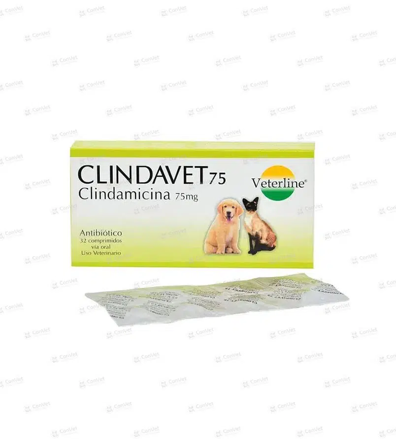 0690101017-CLINDAVET-75-MG-x-UND.webp