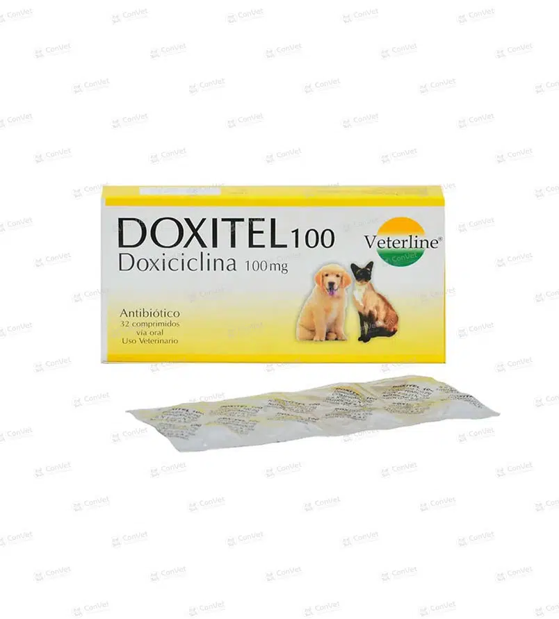 0690101019-DOXITEL-100-MG-x-UND.webp