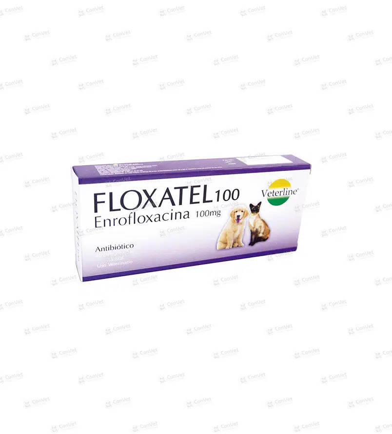 0690101026-FLOXATEL-100-MG-x-UND.webp