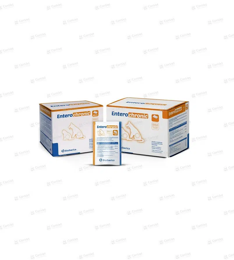 0930137003-ENTERO-CHRONIC-x-30-SOBRES-x-4-GR.webp